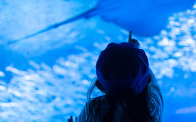 VISITA EL BIOPARK ACUARIO DE GIJÓN