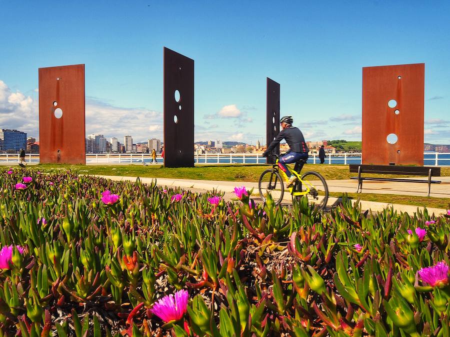 🌼Un día perfecto de primavera en Gijón