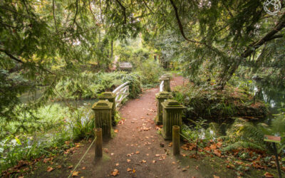🍂 Los mejores parques y jardines de Gijón en otoño: un paseo entre naturaleza y color